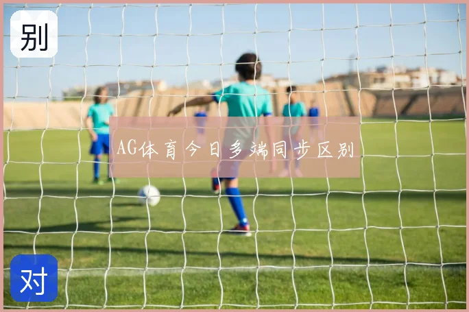 AG体育今日多端同步区别